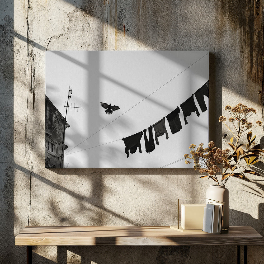 Fly People Fly Poster och Canvastavla