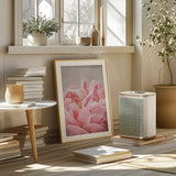 Peony 4 Poster och Canvastavla