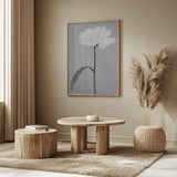 Peony 14 Poster och Canvastavla