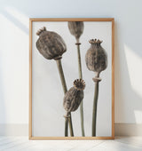 Dried_006 Poster och Canvastavla