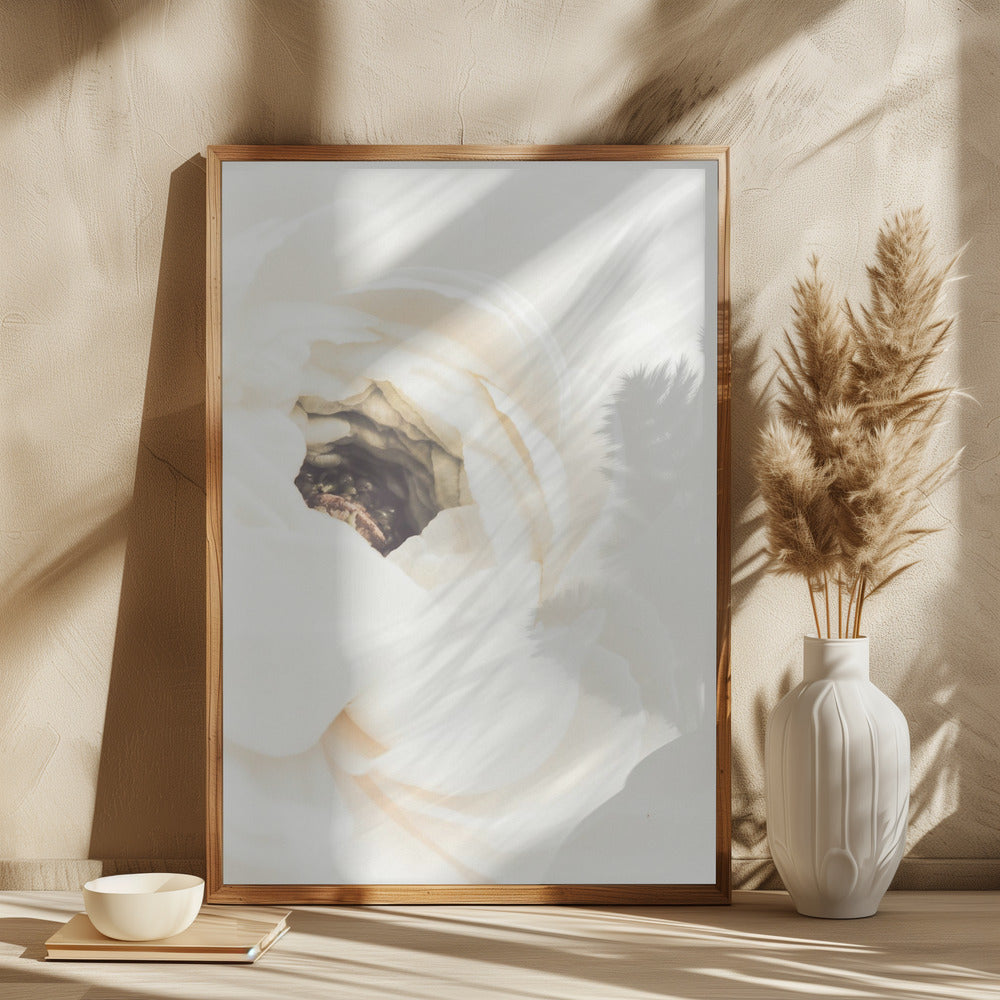 White Flower 01 Poster och Canvastavla