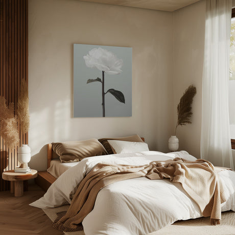 Peony 16 Poster och Canvastavla
