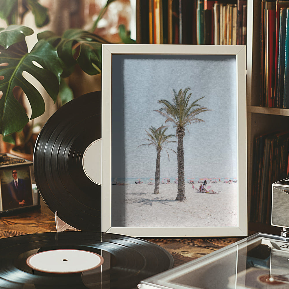 Palm tree at the beach Poster och Canvastavla