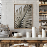 Palm Leaves 22 Poster och Canvastavla