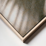 Palm Shadows Poster och Canvastavla