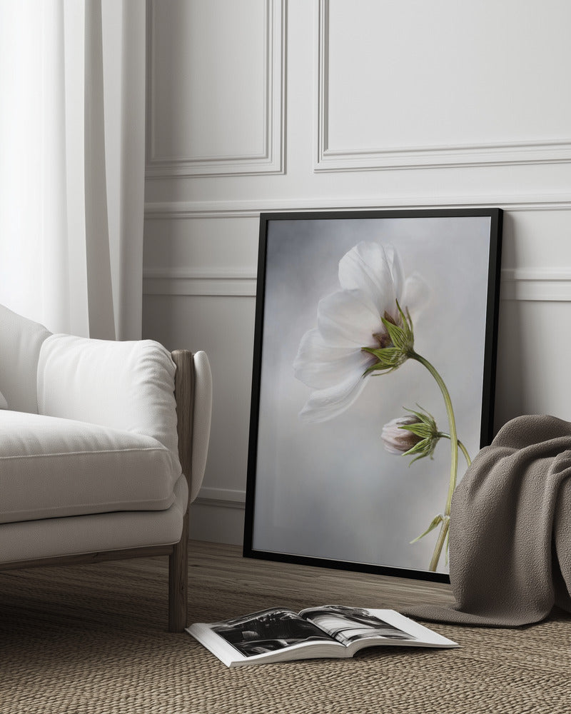 Heavenly Cosmos Poster och Canvastavla