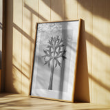 Eryngium Bourgatii Poster och Canvastavla