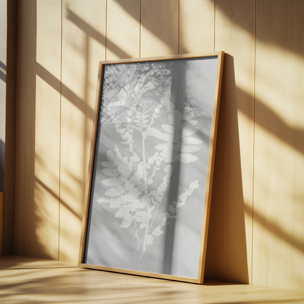 Botanical Illustration 5 Poster och Canvastavla