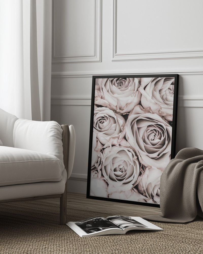 Grey Roses No 01 Poster och Canvastavla