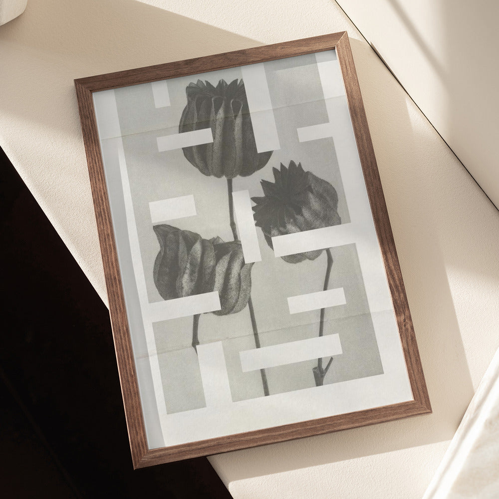 The art of botanic No.1 Poster och Canvastavla