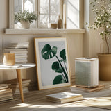 Monstera Natural 38 Poster och Canvastavla