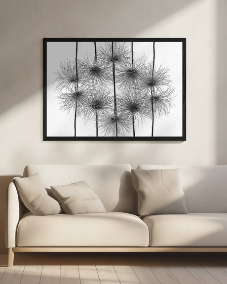 pasque flower energy Poster och Canvastavla