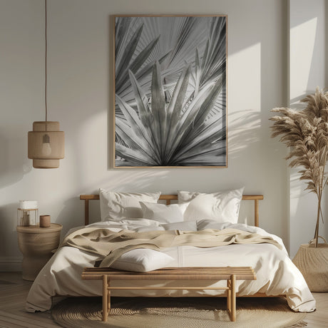 Lala Palm Poster och Canvastavla