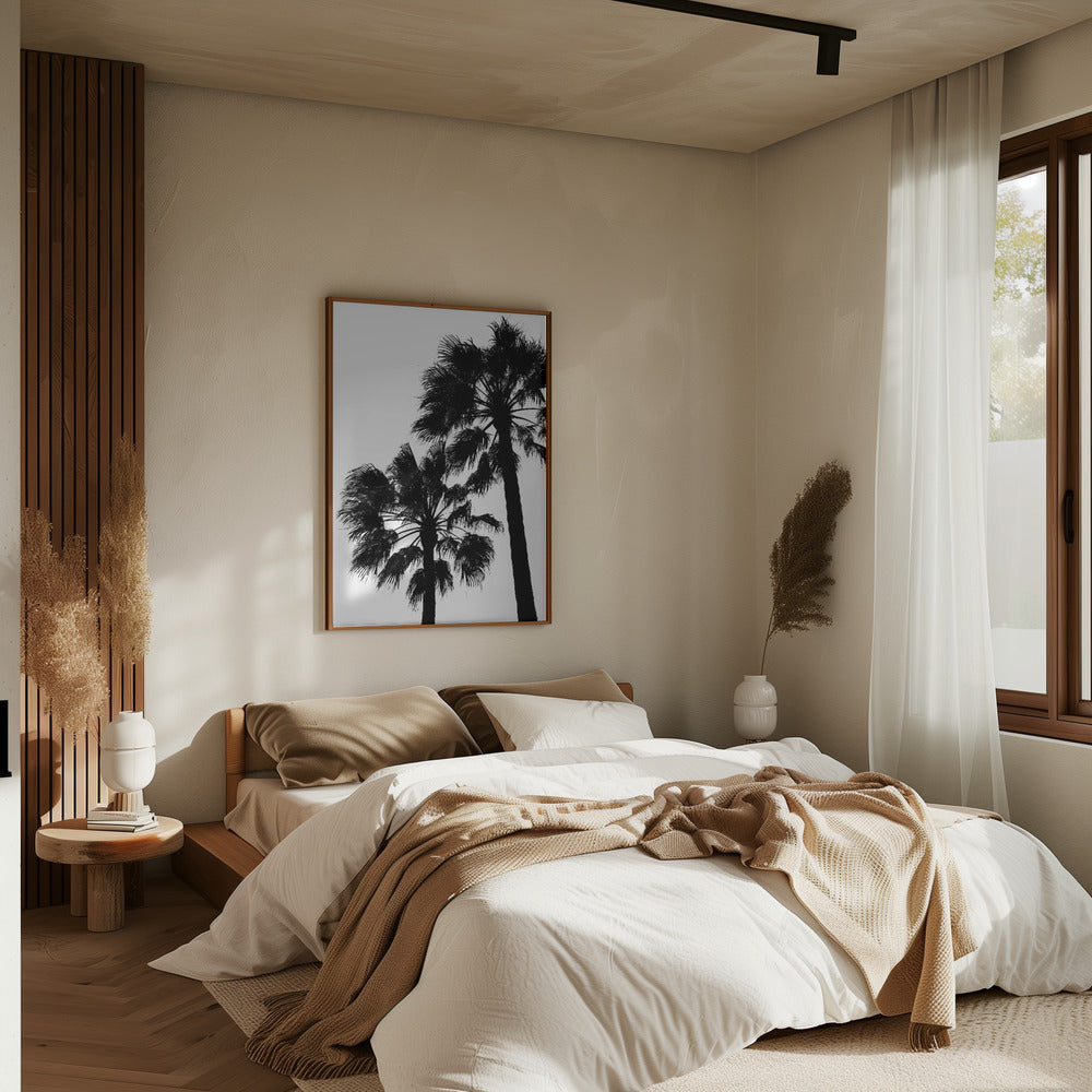 Palm Contrast Poster och Canvastavla