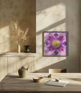 my secret garden (tulips) Poster och Canvastavla