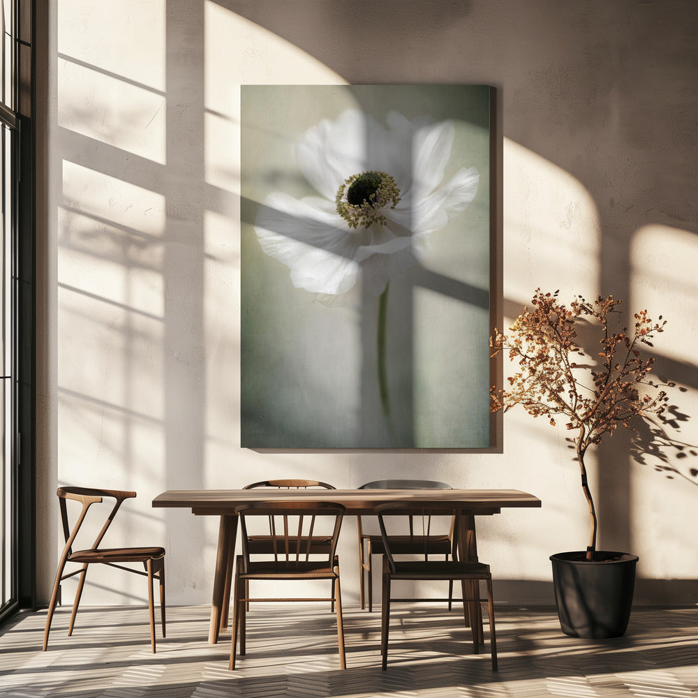 Single White Poster och Canvastavla