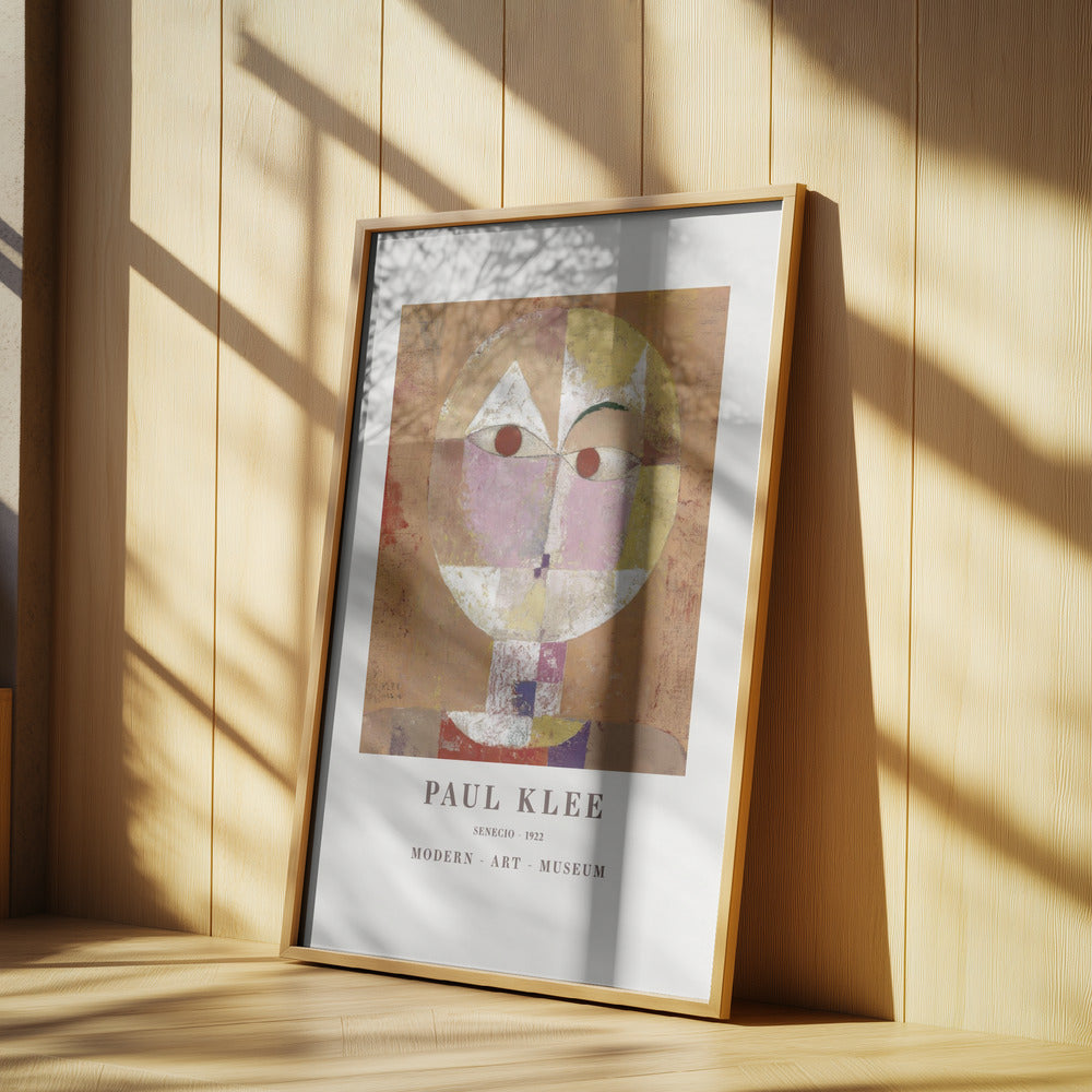 Senecio Baldgreis 1922 Poster och Canvastavla