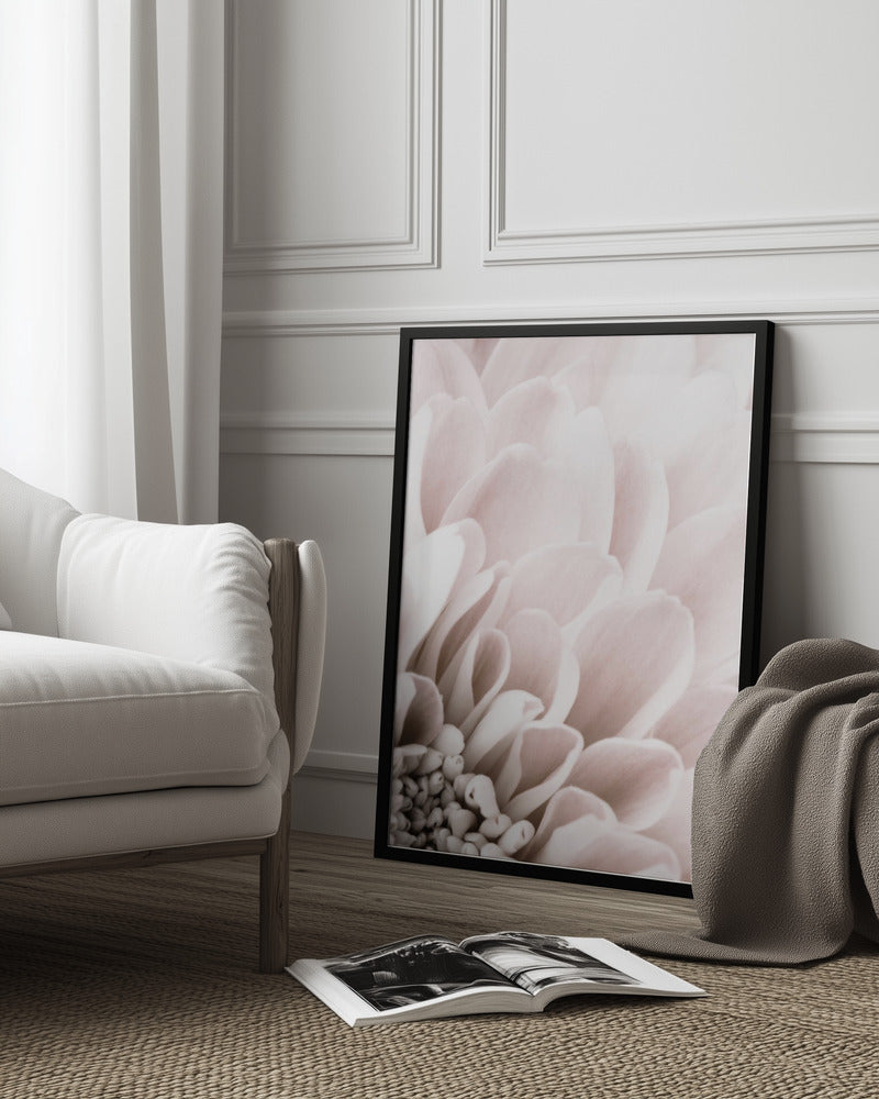 Chrysanthemum No 03 Poster och Canvastavla