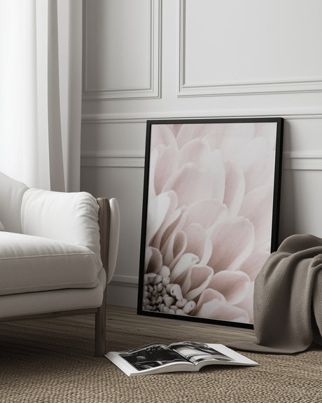 Chrysanthemum No 03 Poster och Canvastavla