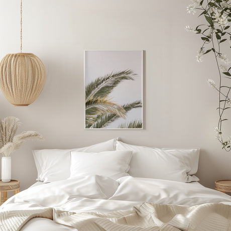 Oasis Palm 03 Poster och Canvastavla