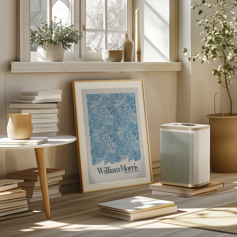 Marigold Poster och Canvastavla