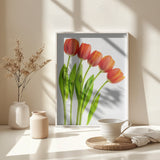 five tulips Poster och Canvastavla