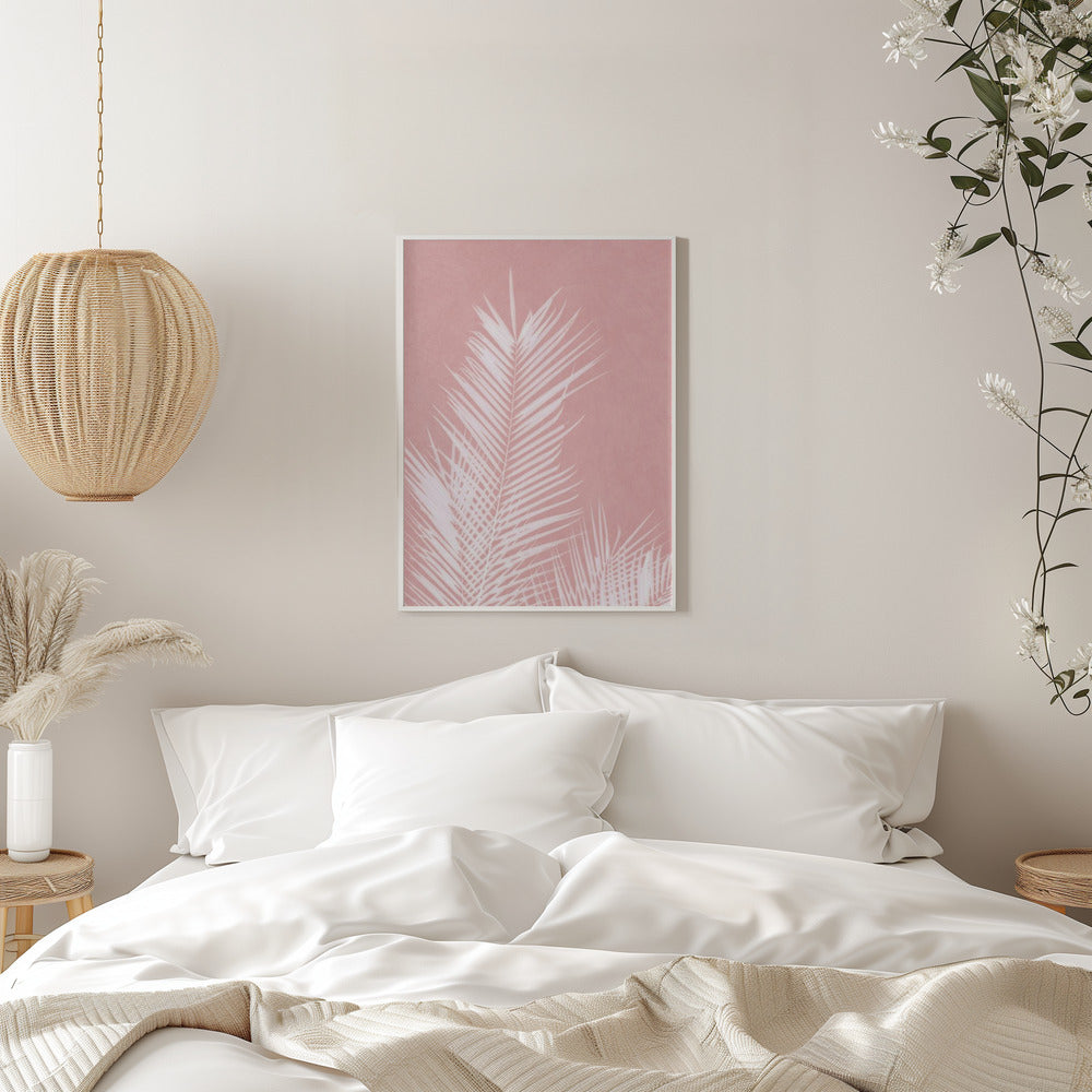 Palm Leaves On Pink Silhouette II Poster och Canvastavla