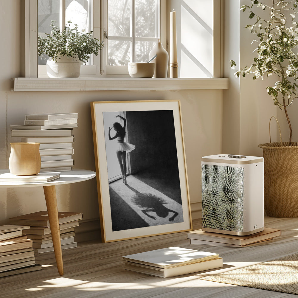 Shadow Dance Poster och Canvastavla