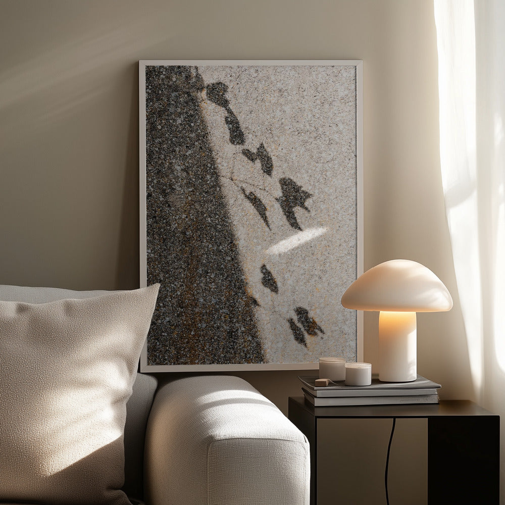 Botanical shadow on the wall Poster och Canvastavla