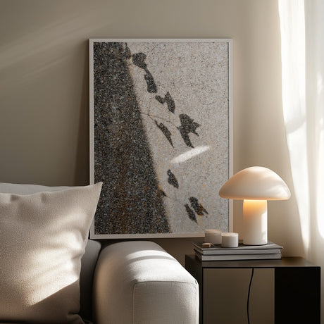 Botanical shadow on the wall Poster och Canvastavla