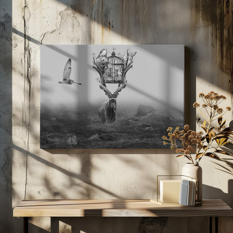 Antelope Poster och Canvastavla