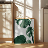 Monstera Natural 37 Poster och Canvastavla