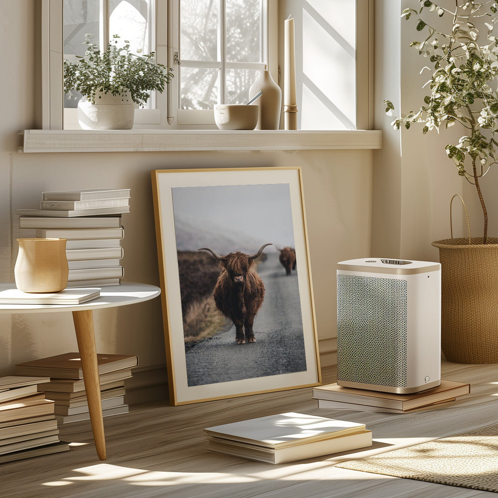 Cow Poster och Canvastavla
