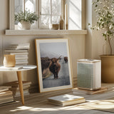 Cow Poster och Canvastavla
