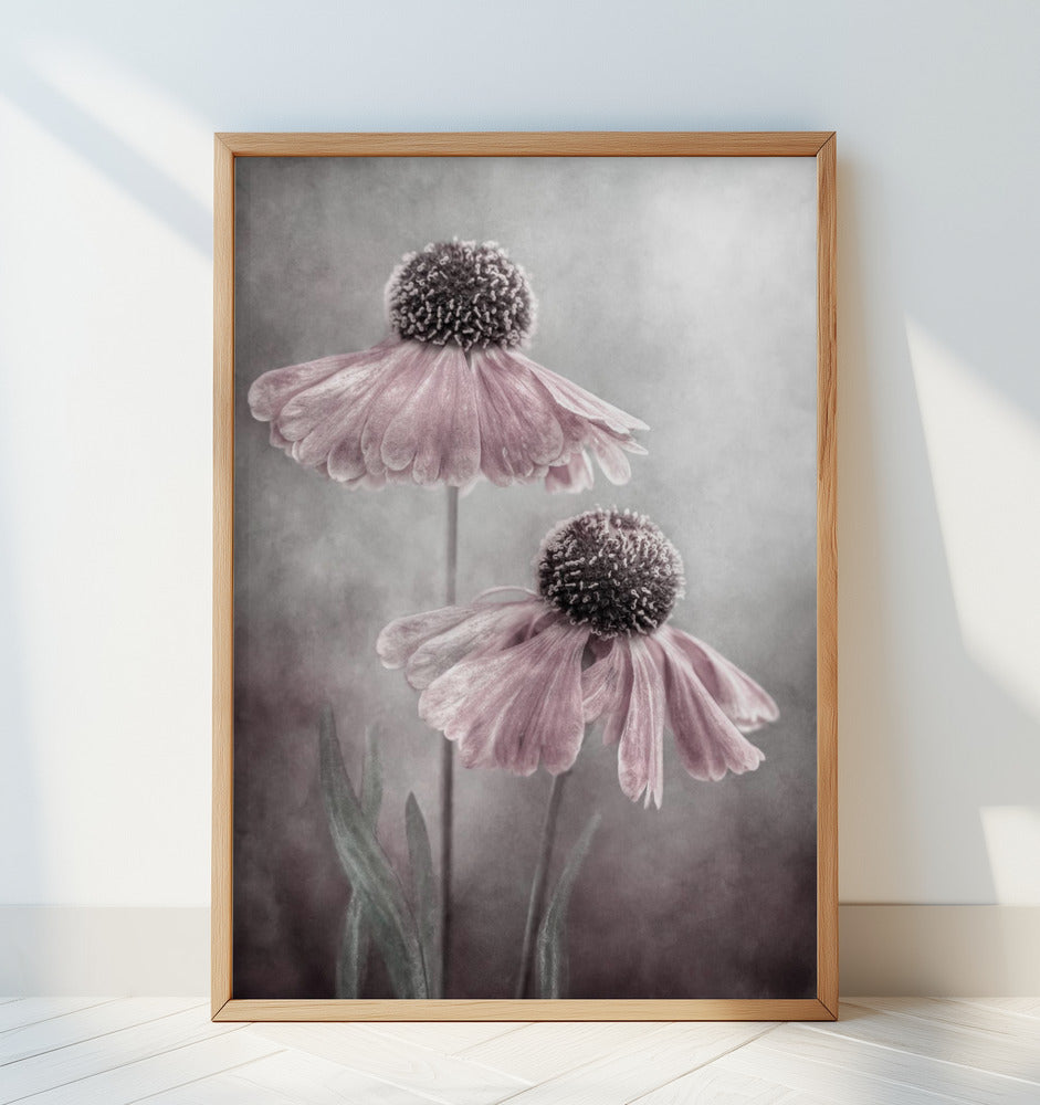 Duet Poster och Canvastavla