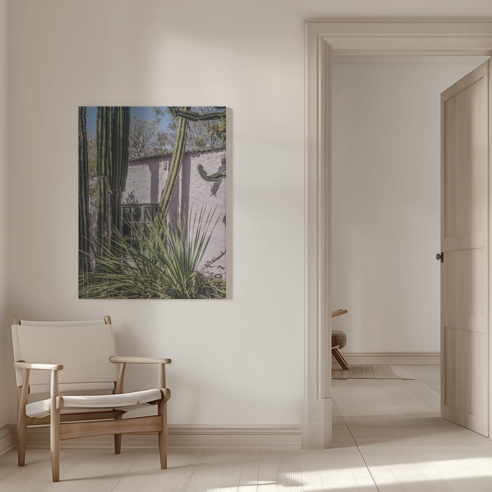 Plants On Pink Poster och Canvastavla