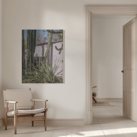 Plants On Pink Poster och Canvastavla