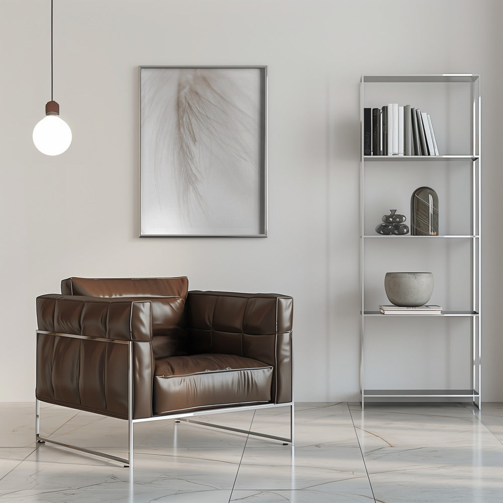 White Feather Poster och Canvastavla