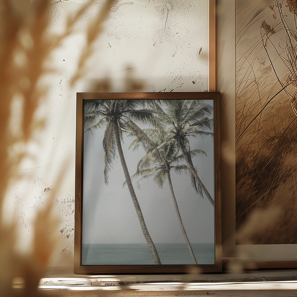Sun Kissed Poster och Canvastavla