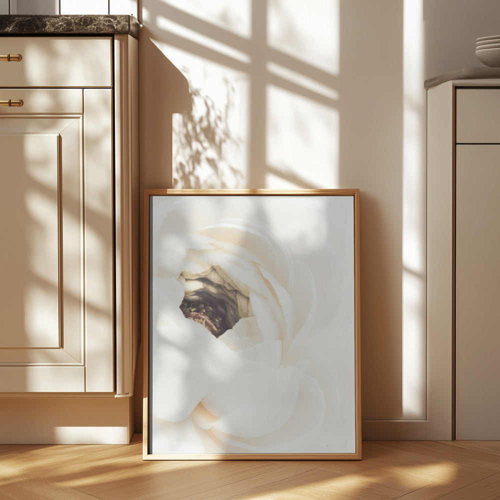 White Flower 01 Poster och Canvastavla