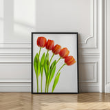five tulips Poster och Canvastavla