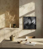 Dancer in black Poster och Canvastavla