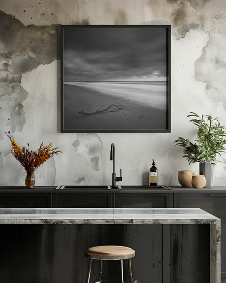 Branch on the shore Poster och Canvastavla