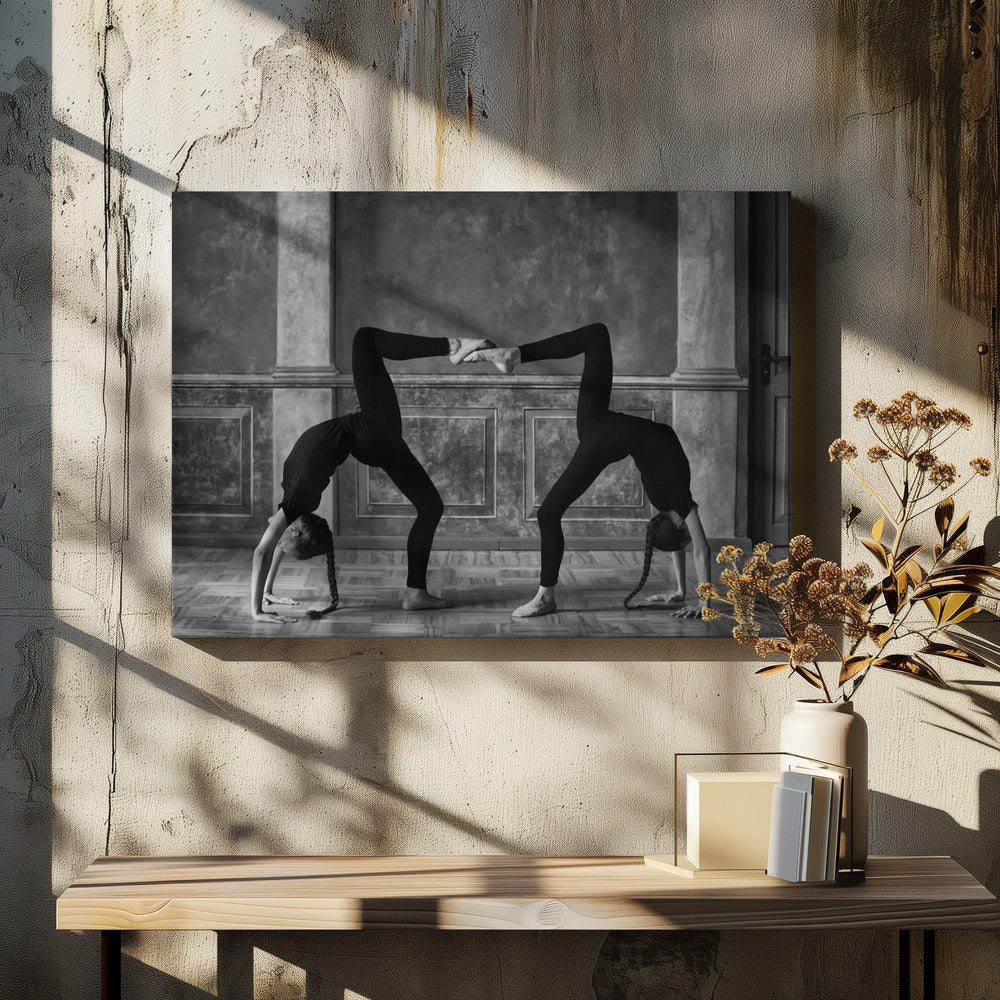 Twins Poster och Canvastavla