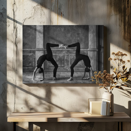Twins Poster och Canvastavla
