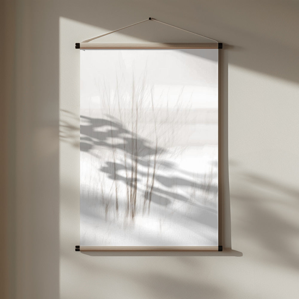 Winter White Poster och Canvastavla