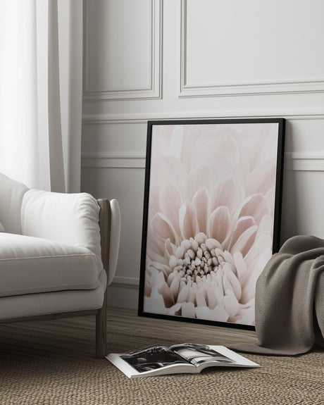 Chrysanthemum No 06 Poster och Canvastavla