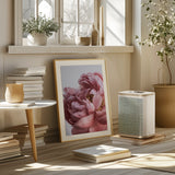 Peony Poster och Canvastavla