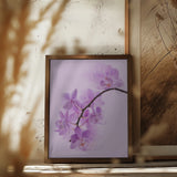 orchid fantasy Poster och Canvastavla