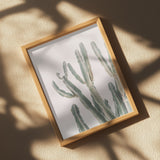 Sunrise Cactus Poster och Canvastavla